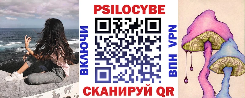 Купить закладки  Красноармейск  Псилоцибиновые грибы мухоморы 